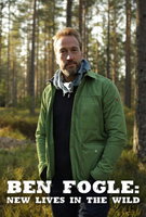 Saison 10