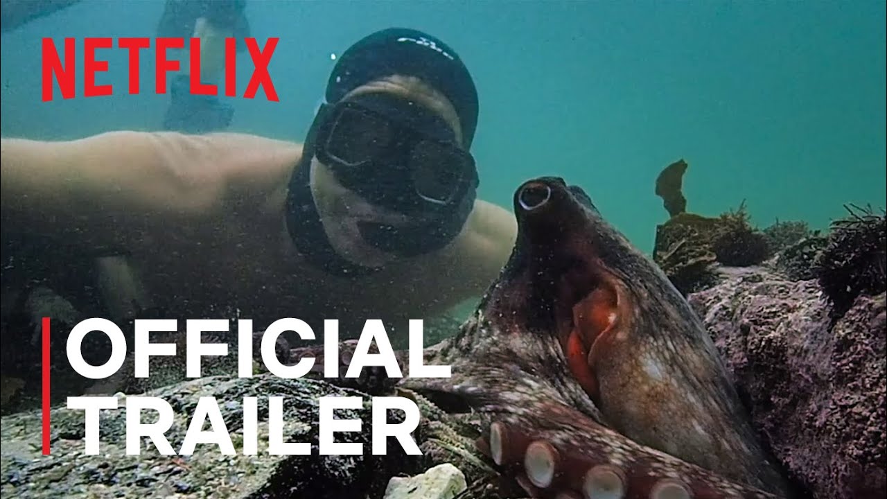 Trailer du film La Sagesse de la pieuvre, La Sagesse de la pieuvre