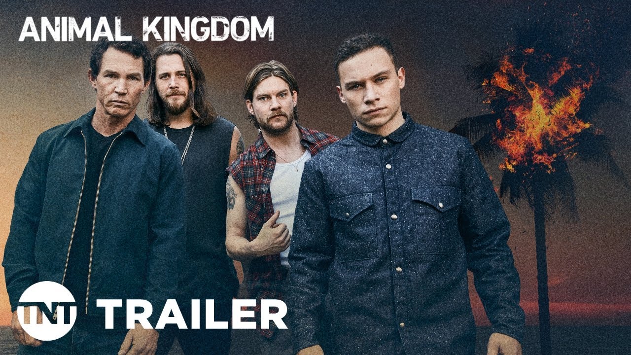 Animal Kingdom Saison 5 Date De Sortie